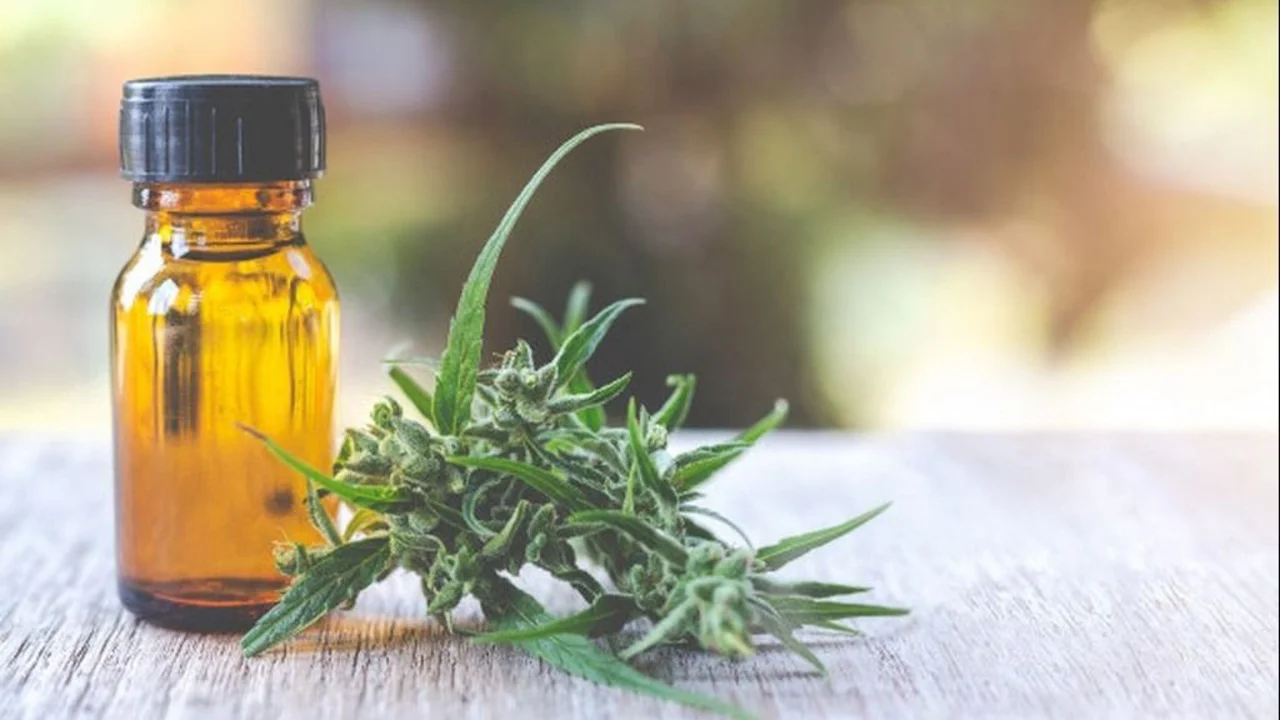 Cannabis medicinal Corte Suprema