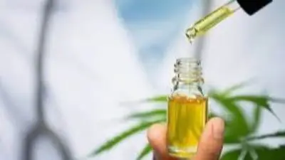 Cannabis medicinal: Qué implica que Mendoza haya reglamentado el cultivo Cannabis medicinal: Qué implica que Mendoza haya reglamentado el cultivo