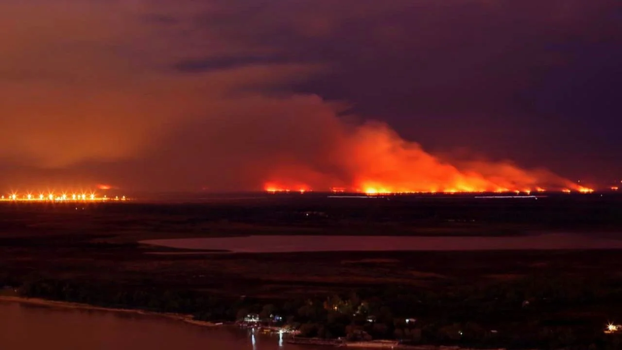 Incendios en el Delta del Paraná: la UIF se convirtió en querellante e investigan lavado de activos