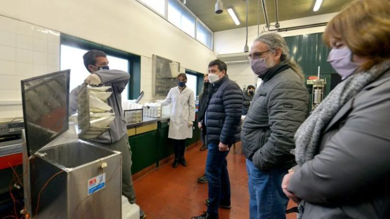 Pan y leche: la estrategia del gobierno para bajar precios y generar trabajo