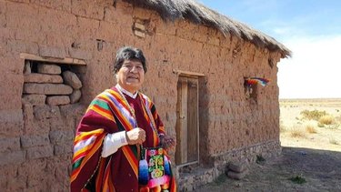 Anulan la reelección indefinida y Morales queda fuera de competencia