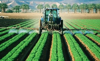 Proyecto agrícola y social en Argentina: la experiencia de Israel | Campo