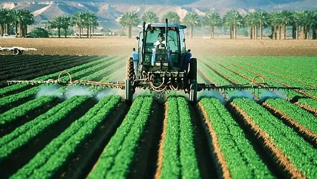 Proyecto agrícola y social en Argentina: la experiencia de Israel | Campo