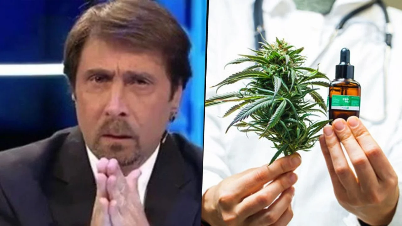 Eduardo Feinmann sobre el consumo de la marihuana cannabis