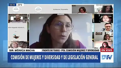 Avanza la paridad en Diputados: medios de comunicación y empresas Avanza la paridad en Diputados: medios de comunicación y empresas