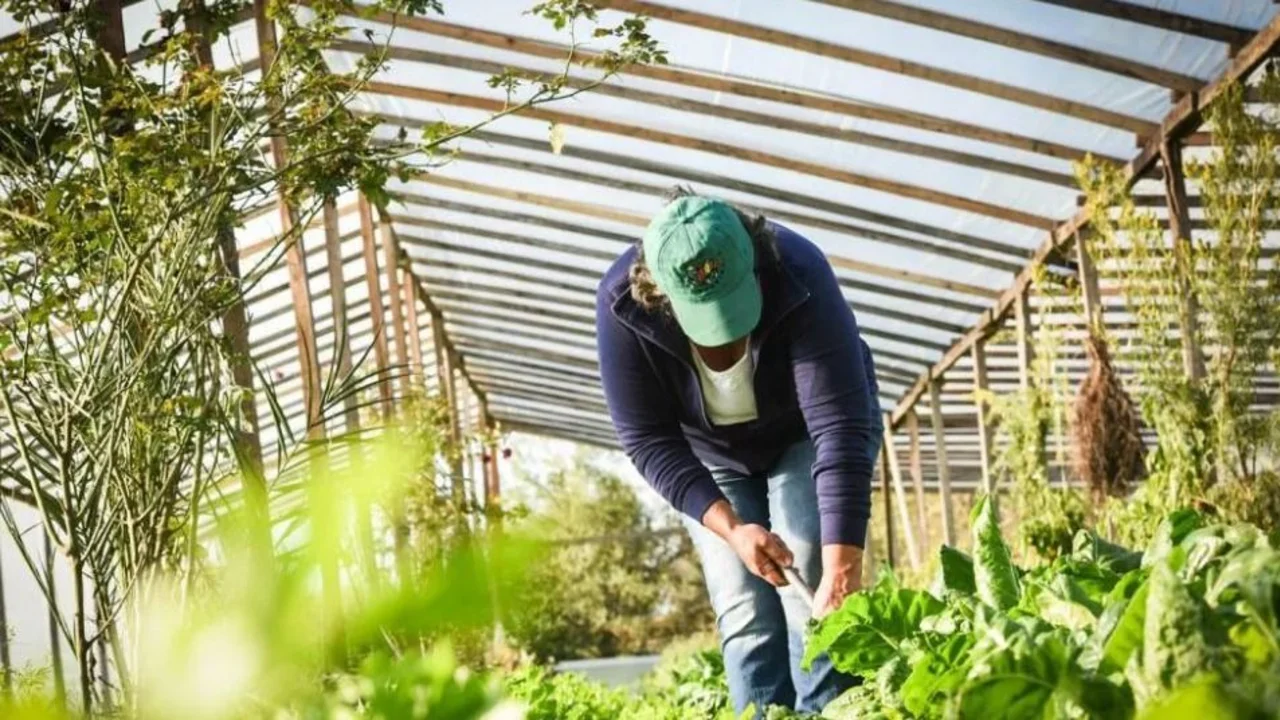 Juntos por el Cambio rechazó un proyecto de soberanía y seguridad alimentaria