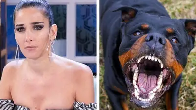 El día que Juana Viale y Arturo Puig casi son devorados por un Rottweiler El día que Juana Viale y Arturo Puig casi son devorados por un Rottweiler