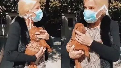 Susana Giménez logró domar a su perra Rita con una técnica infalible Susana Giménez logró domar a su perra Rita con una técnica infalible