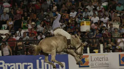 Folklore: la millonaria cifra que recaudó el festival de Jesús María 2024 y el proyecto de Córdoba para ganar más en 2025 Folklore: la millonaria cifra que recaudó el festival de Jesús María 2024 y el proyecto de Córdoba para ganar más en 2025