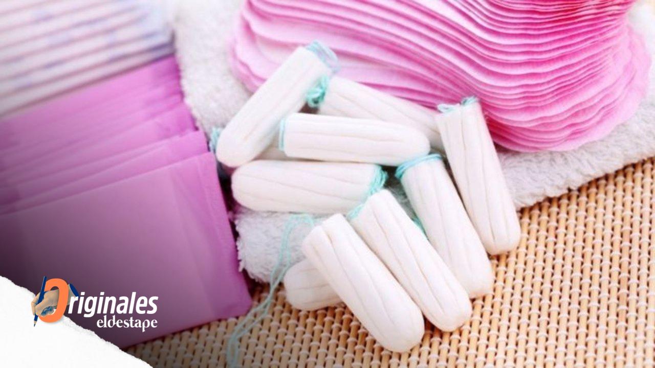 La menstruación, otro factor más de desigualdad: en San Luis y Catamarca es ley la gestión menstrual