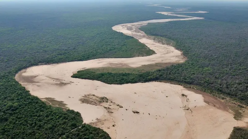 De qué se trata el canje de deuda por acción climática que propone Alberto Fernández