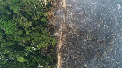 Brasil dice que eleva su meta climática y reducirá las emisiones un 50% tras años de deforestación Brasil dice que eleva su meta climática y reducirá las emisiones un 50% tras años de deforestación