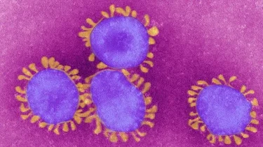 El mundo en alerta roja por la nueva variante detectada en Sudáfrica