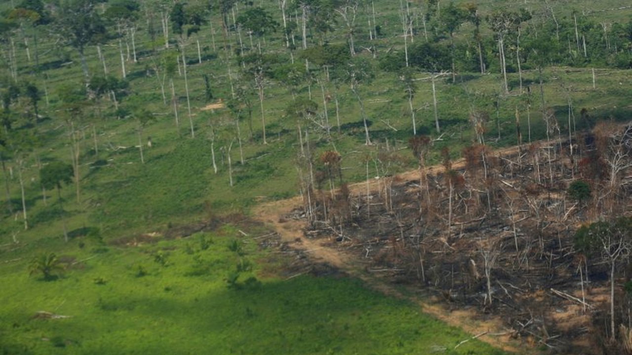 Depuesto jefe de la policía amazónica recurre a una canción para salvar la selva tropical