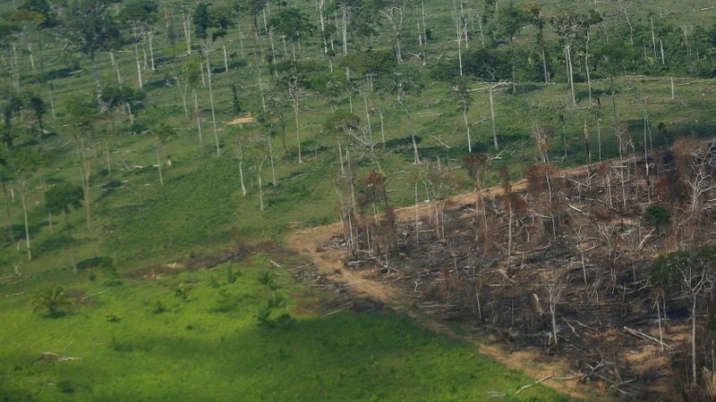 Depuesto jefe de la policía amazónica recurre a una canción para salvar la selva tropical