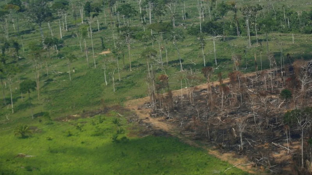 Depuesto jefe de la policía amazónica recurre a una canción para salvar la selva tropical