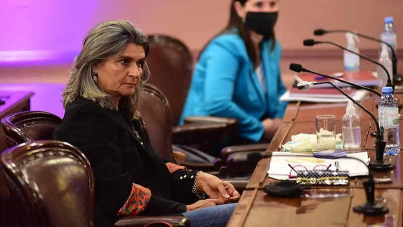 Diputada macrista dice que Cristina Kirchner perdió poder porque le extirparon el útero