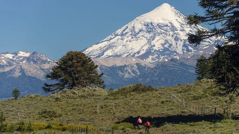 Verano 2022: qué hacer en Neuquén
