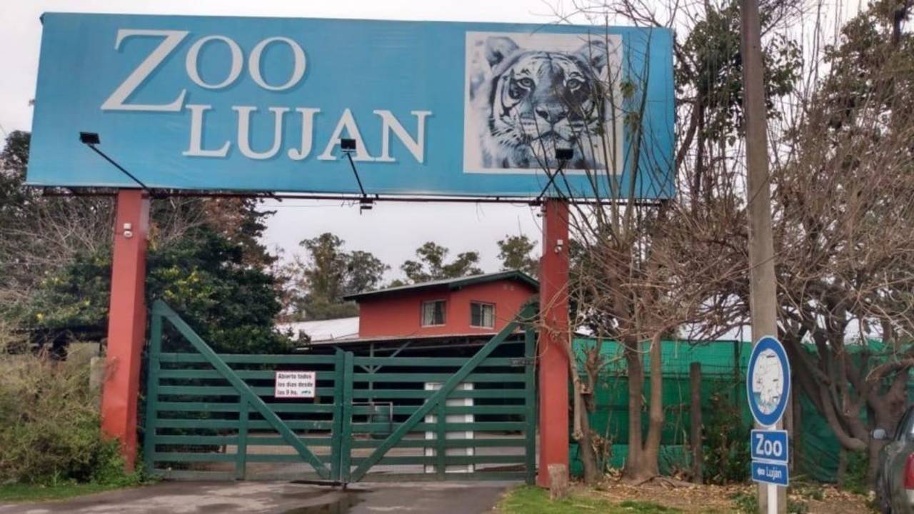 Inspeccionaron el Zoo de Luján: "Nos hacían matar cachorros de leones"