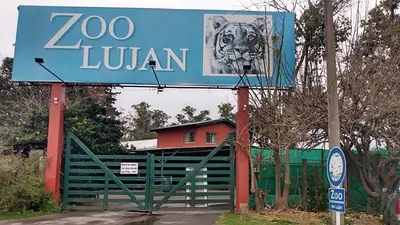 Inspeccionaron el Zoo de Luján: "Nos hacían matar cachorros de leones" Inspeccionaron el Zoo de Luján: "Nos hacían matar cachorros de leones"