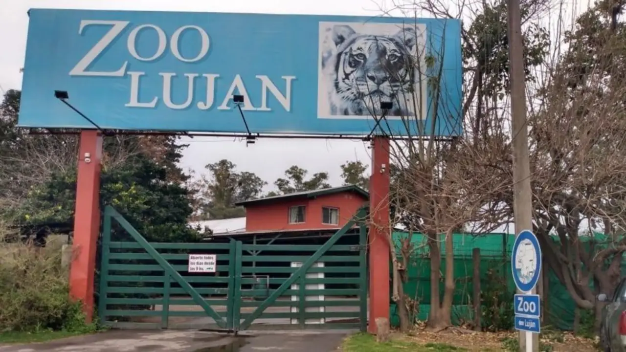 Inspeccionaron el Zoo de Luján: "Nos hacían matar cachorros de leones"