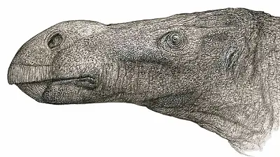 Encontraron un nuevo dinosaurio herbívoro en Reino Unido Encontraron un nuevo dinosaurio herbívoro en Reino Unido