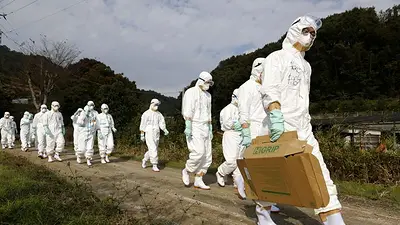 Alerta sanitaria: China detectó el primer caso de gripe aviar H3N8 en una persona Alerta sanitaria: China detectó el primer caso de gripe aviar H3N8 en una persona