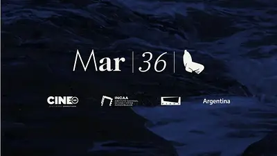 Festival Internacional de Cine de Mar del Plata Festival Internacional de Cine de Mar del Plata