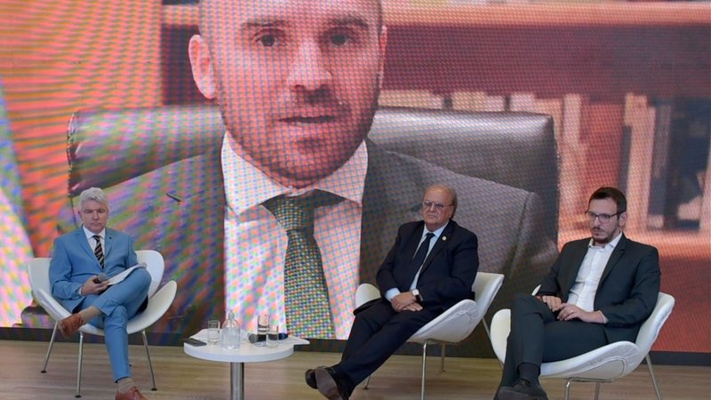 Guzmán: "El rol de los bancos públicos de desarrollo será fundamental"
