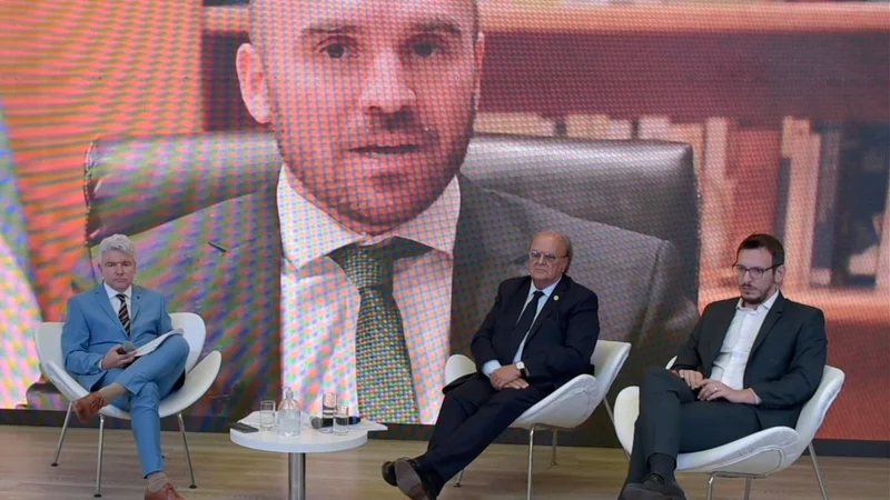 Guzmán: "El rol de los bancos públicos de desarrollo será fundamental"