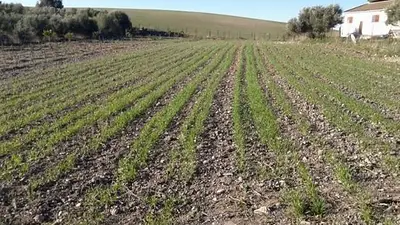 Derogación de la Ley de Tierras en el DNU de Milei: vía libre para la extranjerización del territorio Derogación de la Ley de Tierras en el DNU de Milei: vía libre para la extranjerización del territorio
