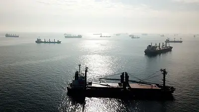 Vuelve la exportación de granos en Ucrania Vuelve la exportación de granos en Ucrania
