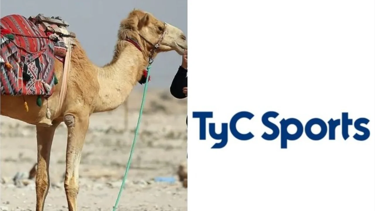 televisión, TyC Sports, Gringo Cingolani, Mundial Qatar 2022, fútbol, deportes