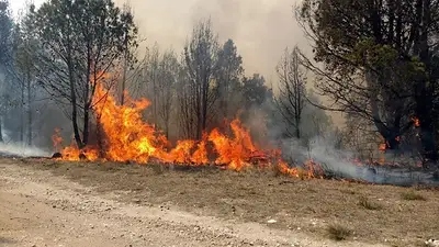 Corrientes, Misiones, Entre Ríos, Mendoza y San Luis registran incendios activos Corrientes, Misiones, Entre Ríos, Mendoza y San Luis registran incendios activos