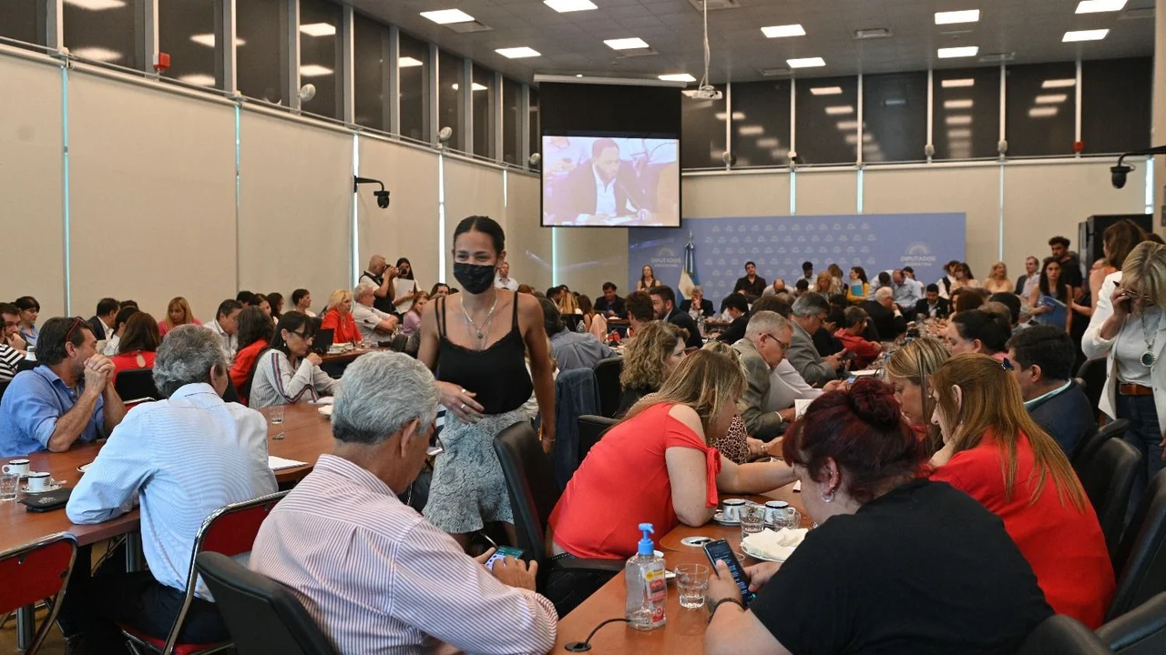 Diputados: JxC consiguió dictamen de mayoría sobre el proyecto de Ley de Humedales