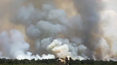 La deforestación en la Amazonia brasileña bate récords antes del cambio de Gobierno La deforestación en la Amazonia brasileña bate récords antes del cambio de Gobierno