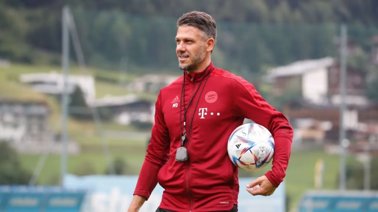 Martín Demichelis, River, Bayern Munich, fútbol, deportes, Marcelo Gallardo