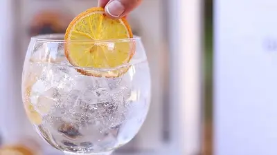 Receta de cocina de gin tonic Receta de cocina de gin tonic