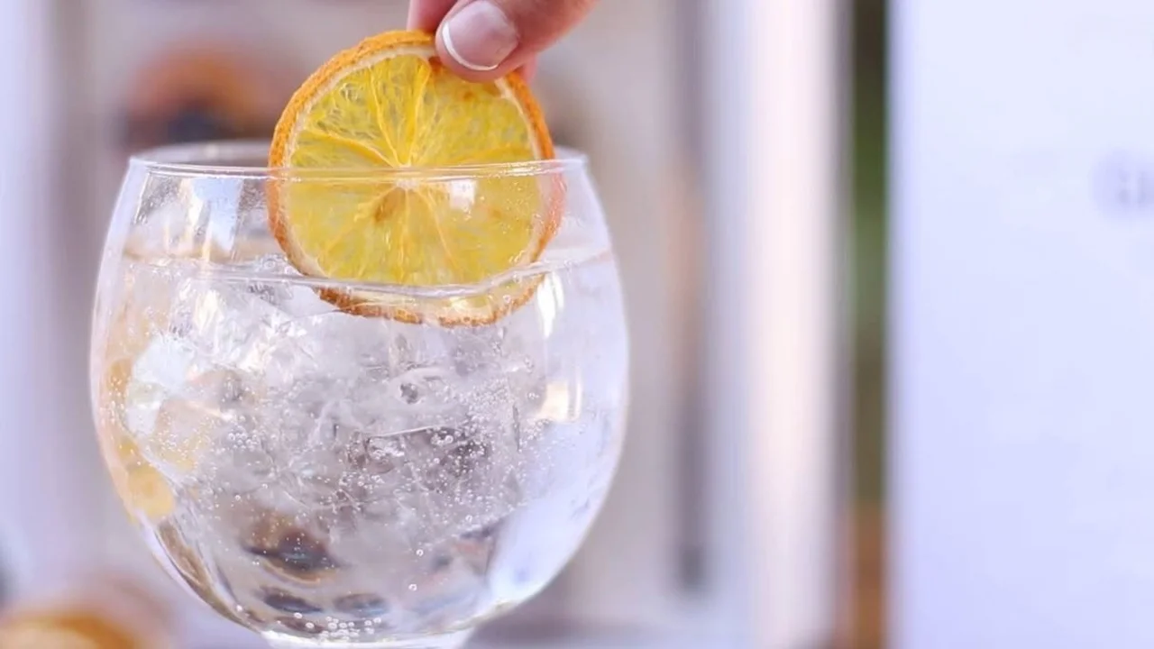Receta de cocina de gin tonic