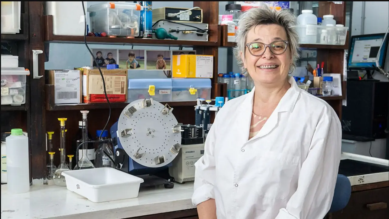 Premio L'Oréal-Unesco  a proyectos en ciencia de materiales