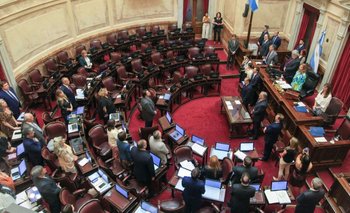 Luchemos por la Vida calificó de "lamentable" la sesión en el Senado | Senado de la nación