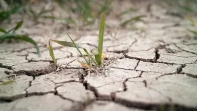 El Gobierno de Santa Fe dio por terminada la sequía y propone adelantar la siembra El Gobierno de Santa Fe dio por terminada la sequía y propone adelantar la siembra