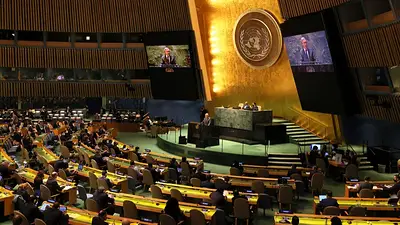 La ONU solicitó exponer sobre la Ley Ómnibus en Diputados La ONU solicitó exponer sobre la Ley Ómnibus en Diputados