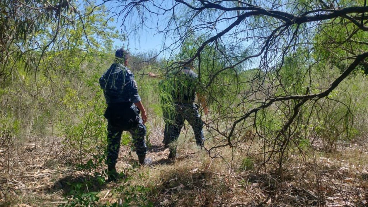 Encuentran un cuerpo en La Plata y analizan si es Eliana Pacheco