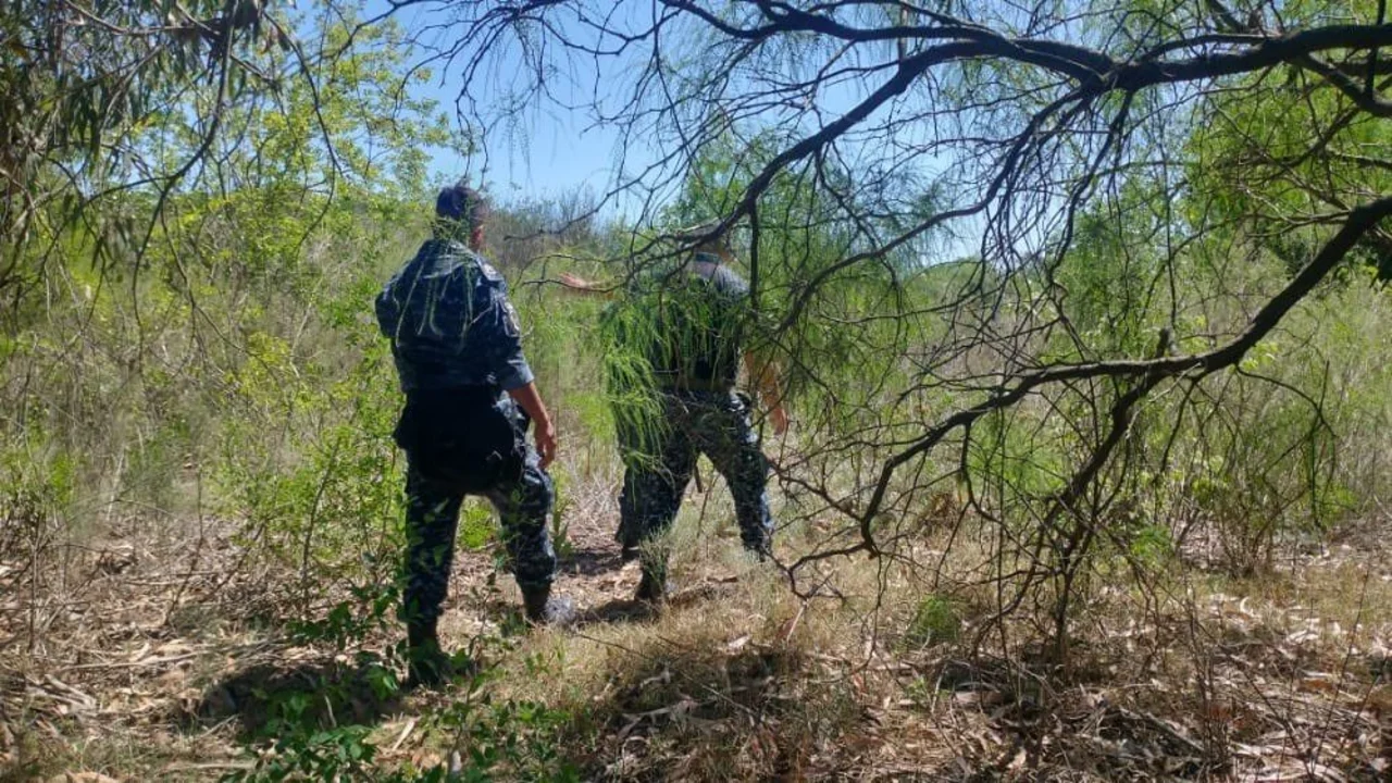 Encuentran un cuerpo en La Plata y analizan si es Eliana Pacheco
