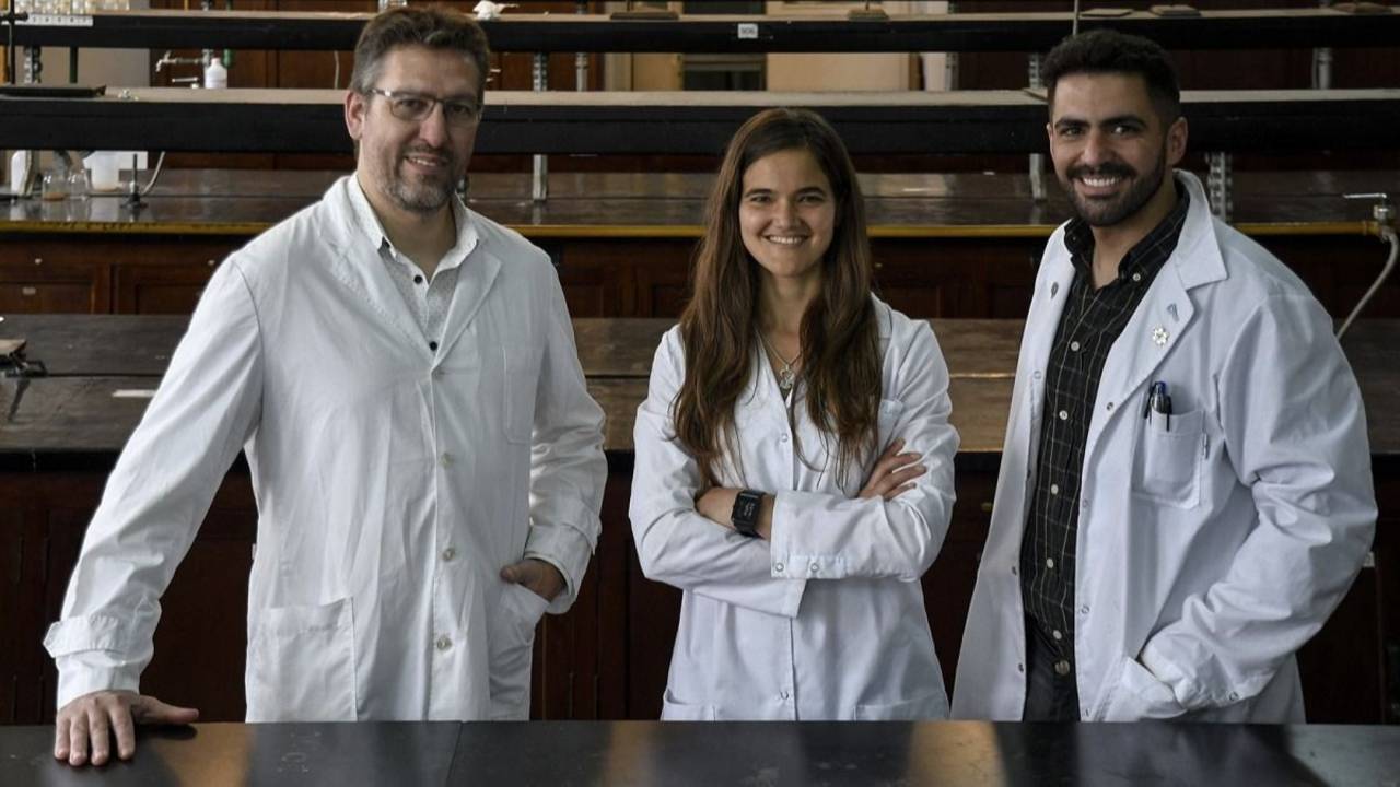Científicos argentinos crearon una biotinta que contiene aceite de cannabis para restaurar tejidos