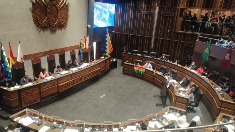 El Senado de Bolivia aprobó la ley que prevé que el censo se haga en 2024