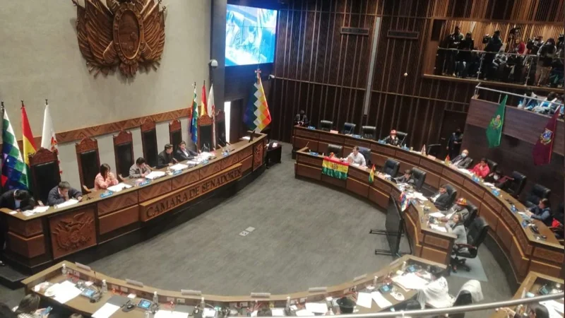El Senado de Bolivia aprobó la ley que prevé que el censo se haga en 2024