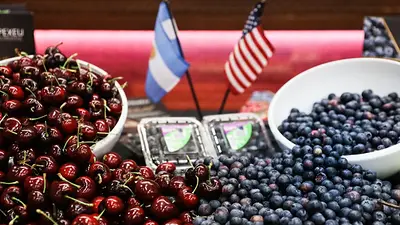 Partió el primer embarque de arándanos y cerezas a Estados Unidos Partió el primer embarque de arándanos y cerezas a Estados Unidos