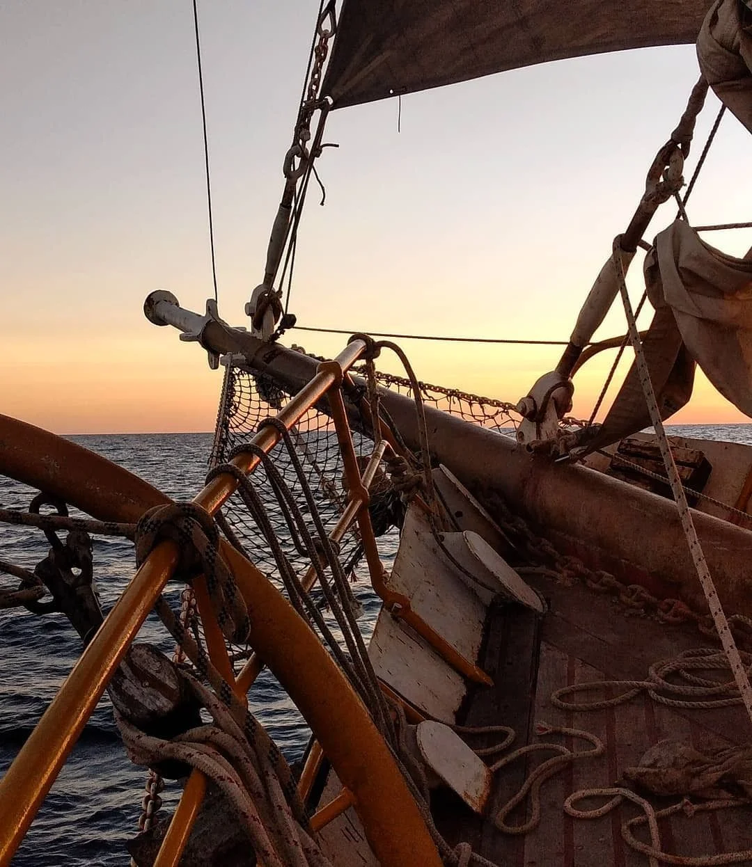 Encontró un barco de 1886 sepultado en Tigre y hoy viaja para devolverlo a  Génova, su tierra de origen: la aventura de Fer, dueño del flote más  antiguo del mundo | El Destape